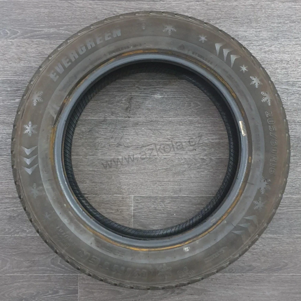 Zimní pneumatiky Evergreen 205/60 R16 č. AP339