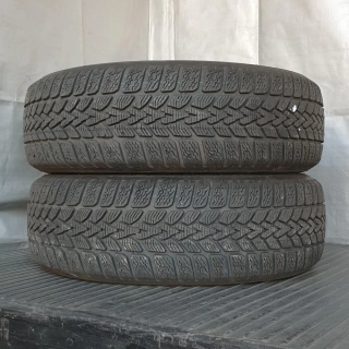 Zimní pneumatiky Dunlop 195/65 R15 č. AP261