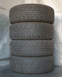 Zimní pneumatiky Riken 215/55 R16 č. AP256