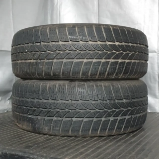 Zimní pneumatiky Riken 205/55 R16 č. AP238