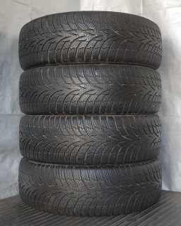 Zimní pneumatiky Nokian 195/65 R15 č. AP396