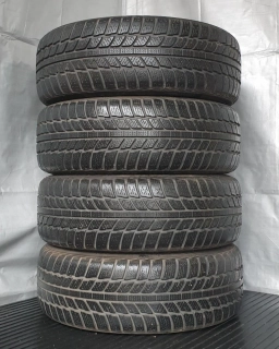 Zimní pneumatiky Evergreen 205/60 R16 č. AP339