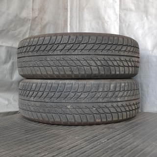 Zimní pneumatiky 195/65 R15 Goodride č. AP847